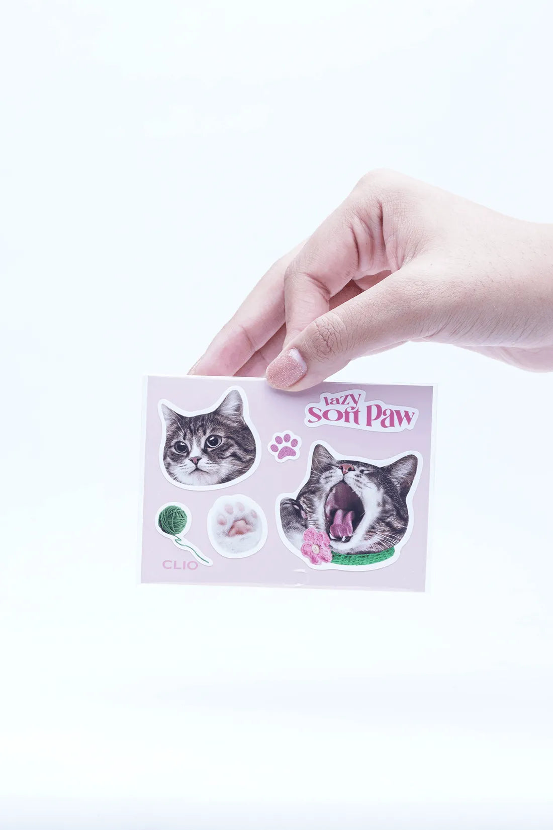 Pro Eye Palette (Koshort in Seoul Limited) - Chok Chok Beauty