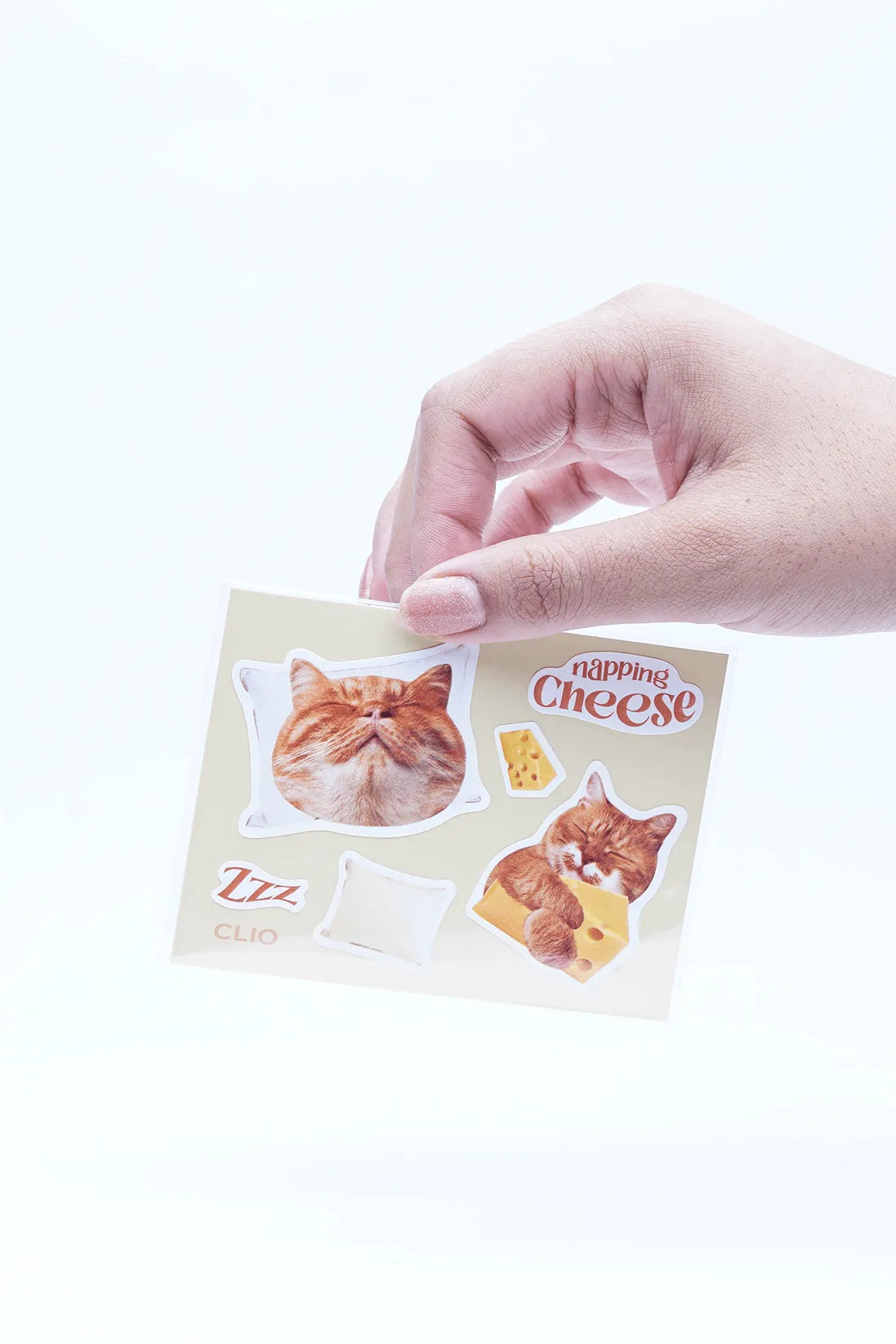 Pro Eye Palette (Koshort in Seoul Limited) - Chok Chok Beauty