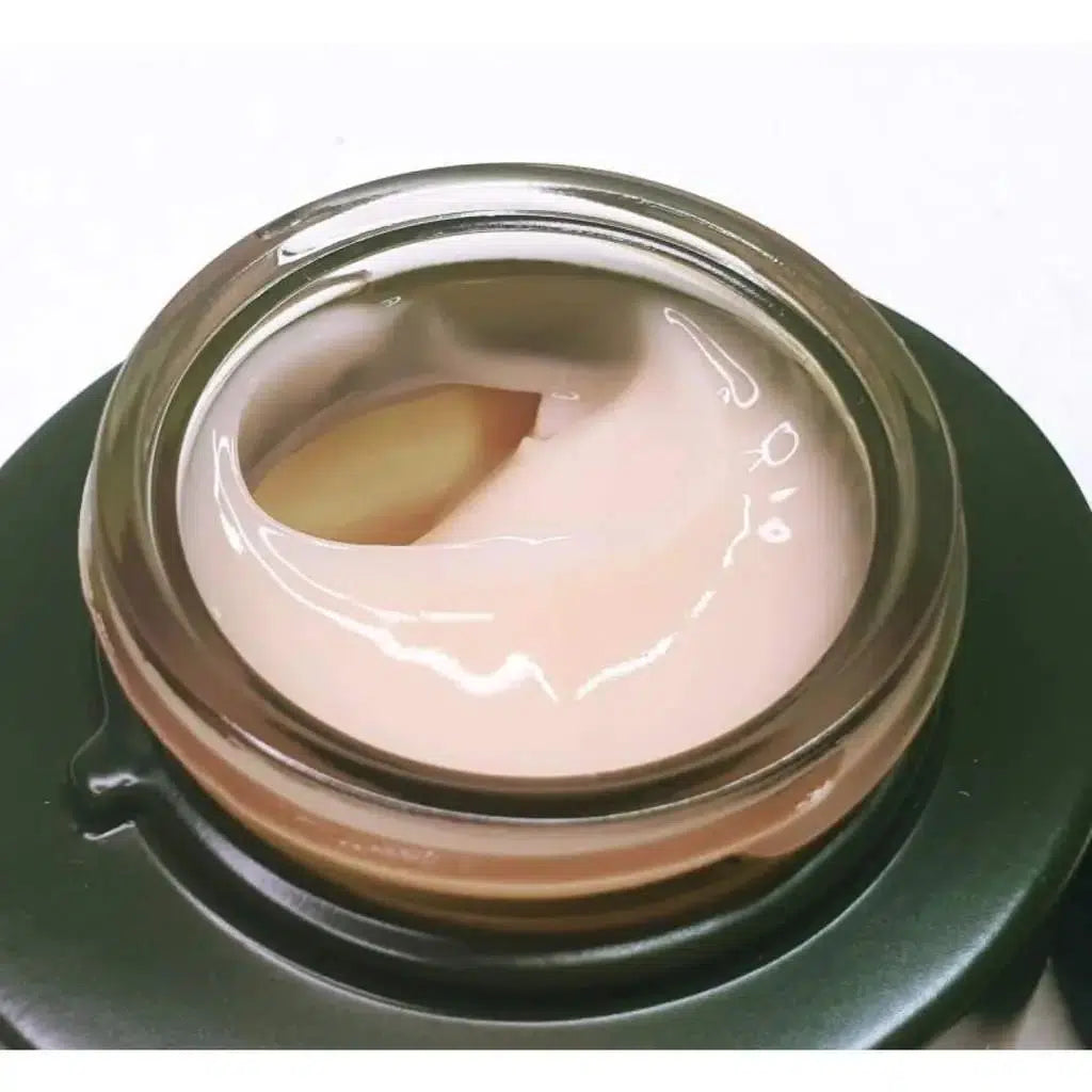 Time Revolution Artemisia Calming Moisture Cream - Chok Chok Beauty